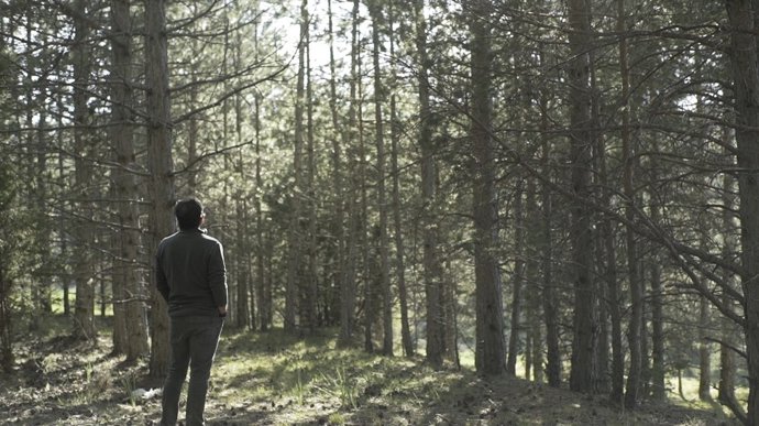 Coca-Cola celebra su 65º aniversario en España 