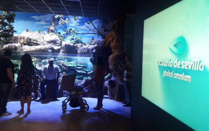 El acuario de Sevilla renueva sus instalaciones