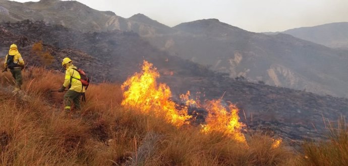 Bomberos forestales trabajan en el incendio de Rioja