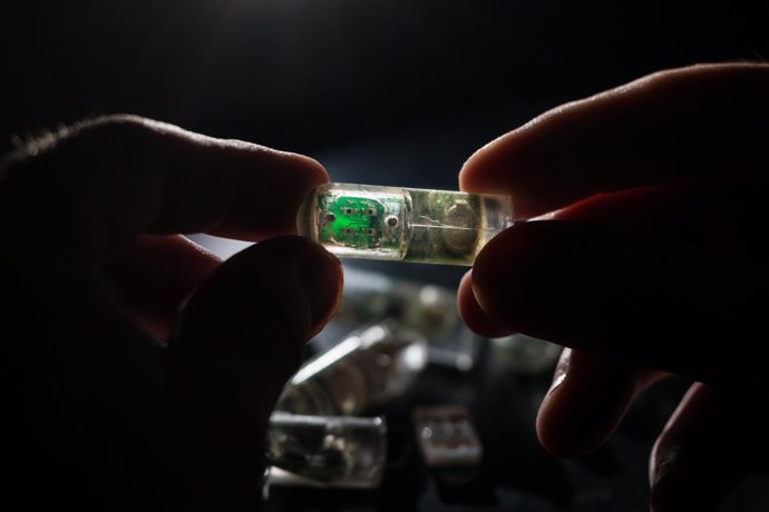 Bacterias en un chip tragable para diagnosticar enfermedades