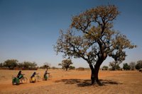 La ONU desbloquea 30 millones de dólares para combatir el hambre en el Sahel