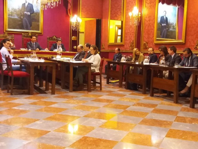Pleno del Ayuntamiento de Granada