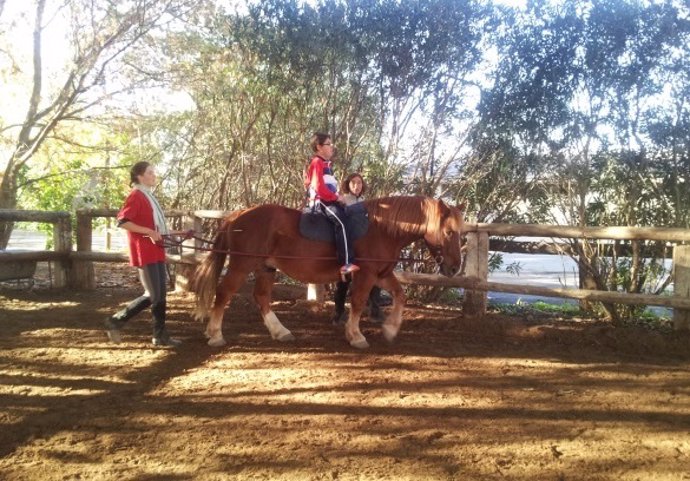 Terapia con caballos