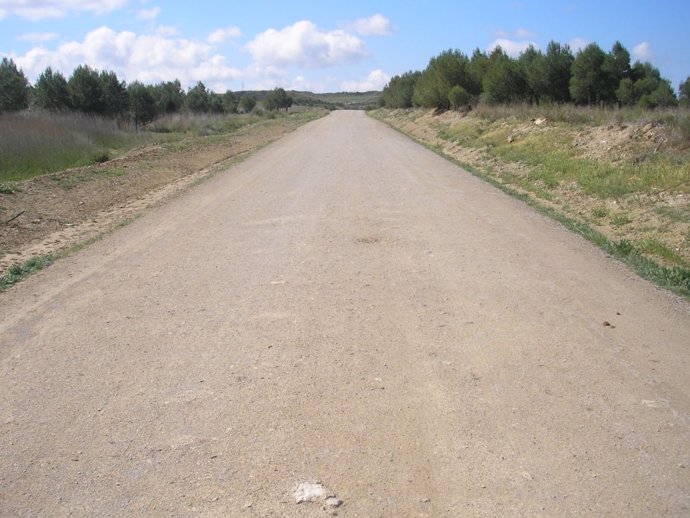Uno de los caminos rurales de Ejea  