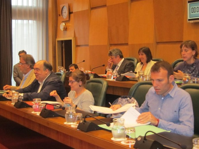 Pleno del Ayuntamiento de Zaragoza.