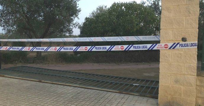 Portón siniestrado en Espartinas