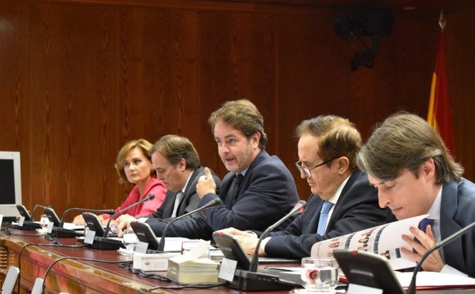 Roberto Bermúdez de Castro en la Comisión Constitucional del Senado