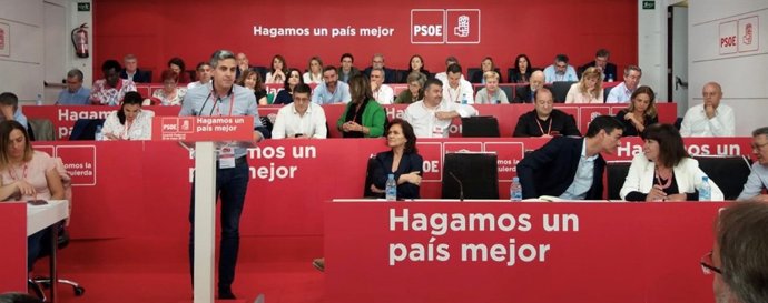 Pablo Zuloaga en el Comité Federal del PSOE
