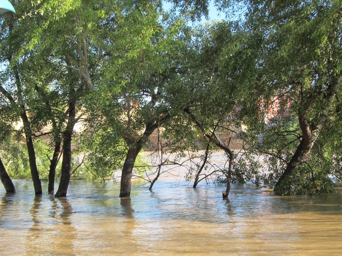 Crecida extraordinaria del río Ebro en abril de 2018