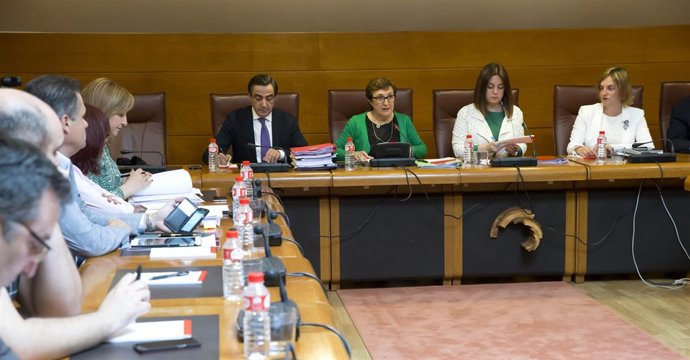 Real en la Comisión de Sanidad 