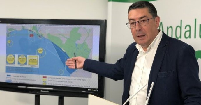 El portavoz de la Ejecutiva Provincial del PSOE de Huelva, Manuel Domínguez.