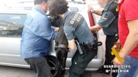 Investigan en Almería al propietario de un perro auxiliado con síntomas de asfixia del maletero de un coche