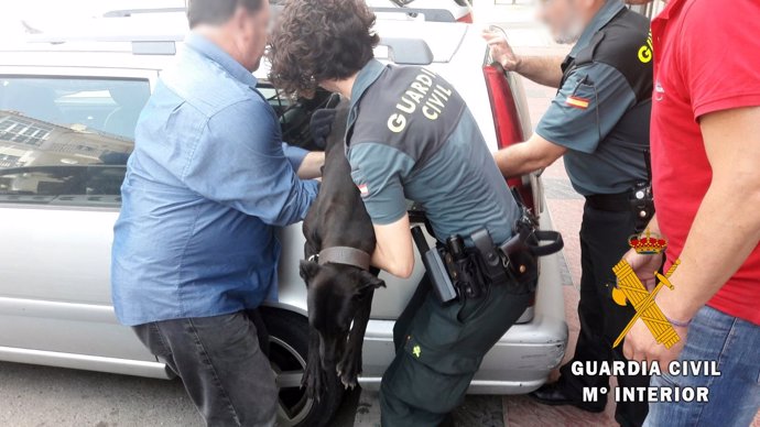 Perro auxiliado en Almería con síntomas de asfixia del maletero de un coche