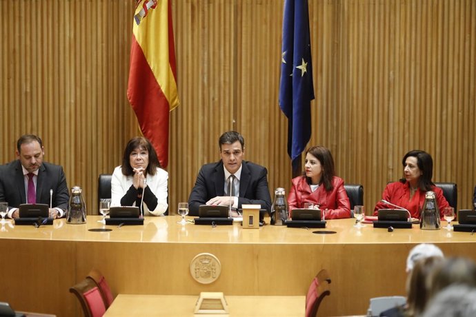 Sánchez interviene en la reunión plenaria del Grupo Parlamentario Socialista