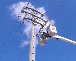 Endesa instal·la proteccions per a l'avifauna del Priorat (Tarragona)
