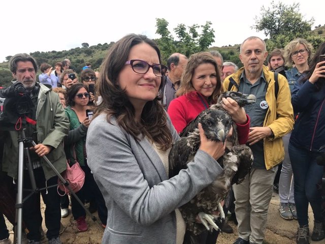 LLEGAN CRIAS DE ROMPEHUESOS A LA TINENÇA