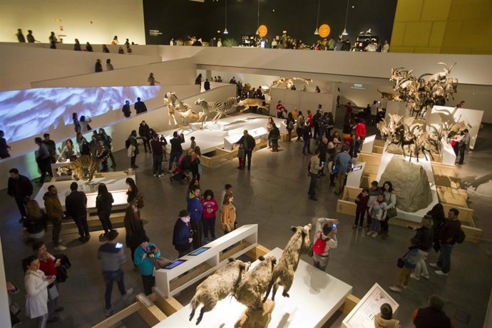 Exposición 'WoW. Maravillas de la vida salvaje'