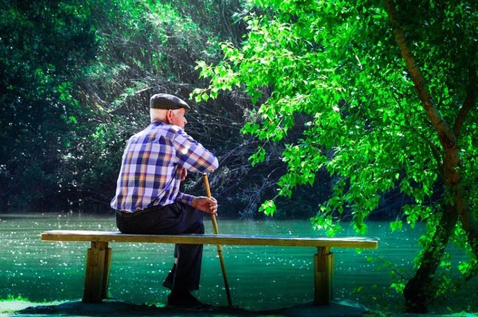 Anciano, mayor, meditando, meditar, lago, banco, sentado