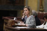 CC critica a Rajoy pero ve "irresponsable" que Sánchez presente ahora una moción con quien quiere "romper" España