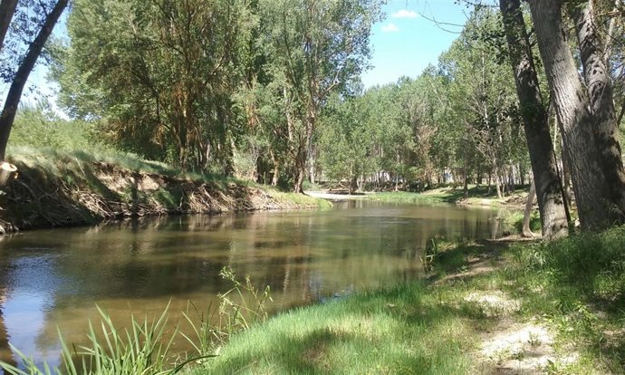 El río Eresma a su paso por Nava