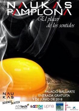 Cartel de 'Naukas Pamplona'