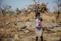 Combatiendo el impacto medioambiental de los refugiados en Uganda
