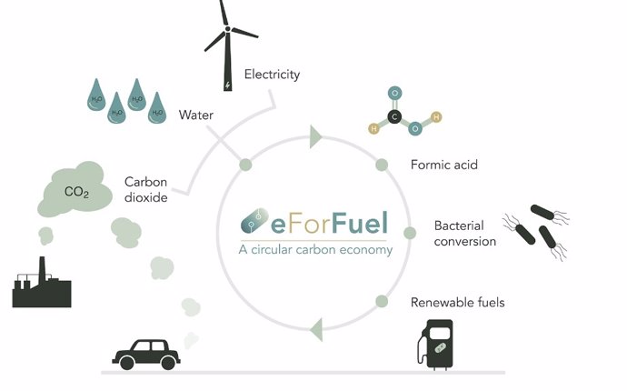 Diagrama del ciclo del eForFuel en el que participa la UA