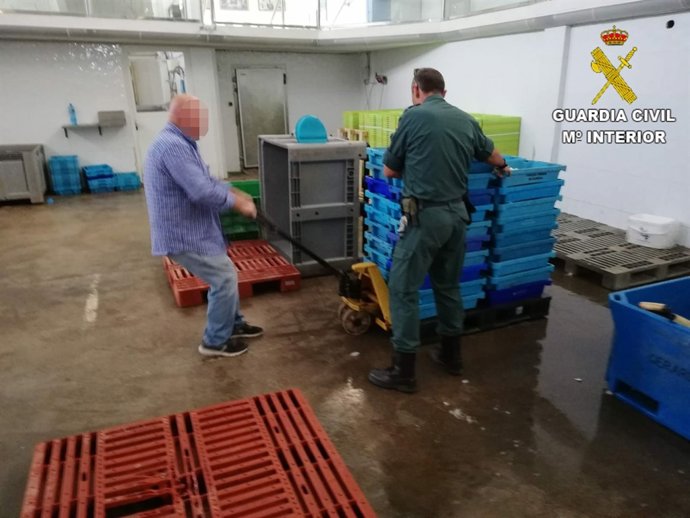 Agentes inspeccionan pescado