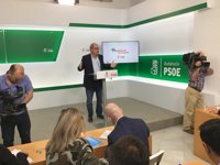 PSOE-A celebrará primarias el día 17 en nueve municipios para elegir candidato a la alcaldía