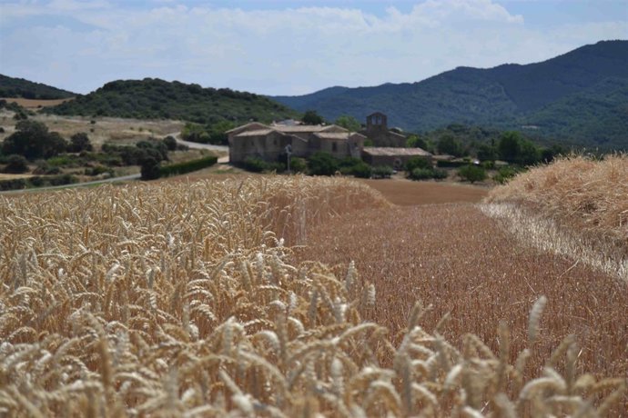 Agricultura sostenible