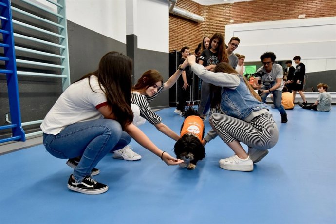 Programa pioner per prevenir el bullying amb teràpia amb gossos