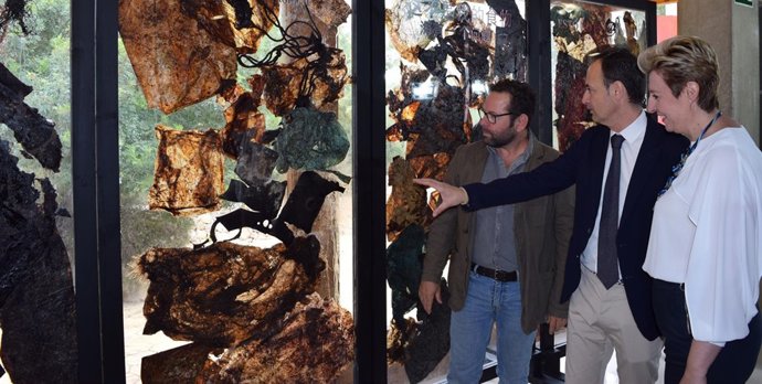 Celdrán muestra los desechos que causaron la muerte a un cachalote