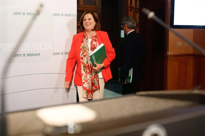 Sánchez Rubio, este martes en rueda de prensa tras el Consejo de Gobierno