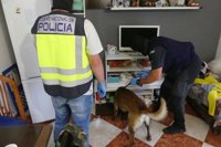 Desarticulan un grupo dedicado al tráfico de droga a pequeña escala en Marbella y detienen a nueve personas