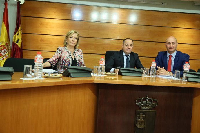 Ana Saavedra en la comisión de las Cortes
