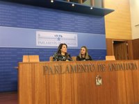 PP-A pide unidad en el partido ante una etapa "muy ilusionante" en la que decidirán "las bases"