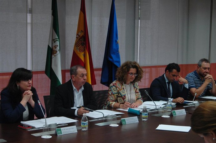 Reunión del Consejo Andaluz de Comercio