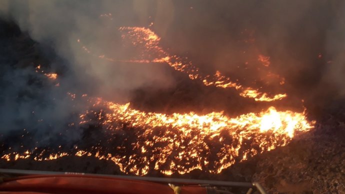 Incendio forestal declarado en Níjar (Almería)