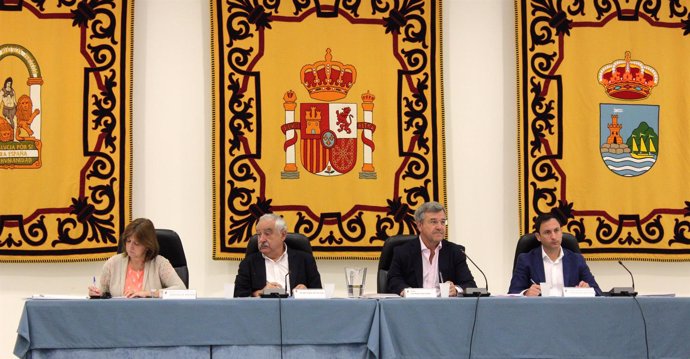  Pleno Del Ayuntamiento De Estepona 