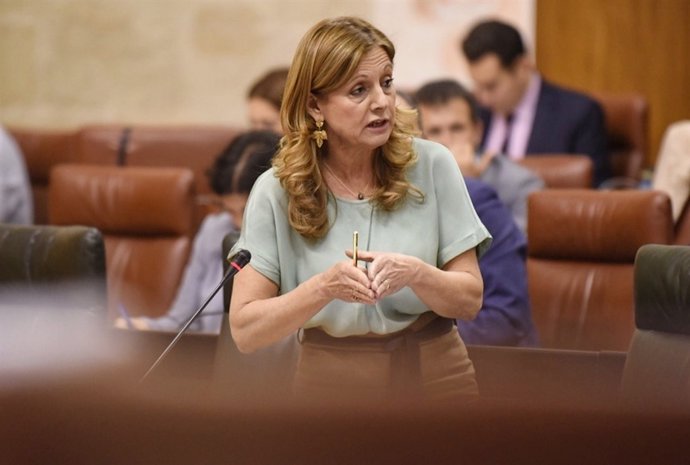 La consejera de Salud en el Pleno del Parlamento