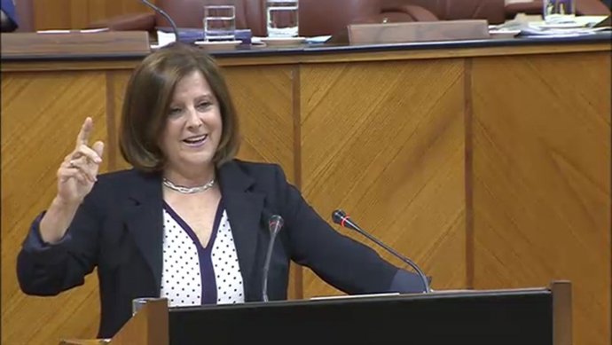 Sánchez Rubio en el Pleno del Parlamento