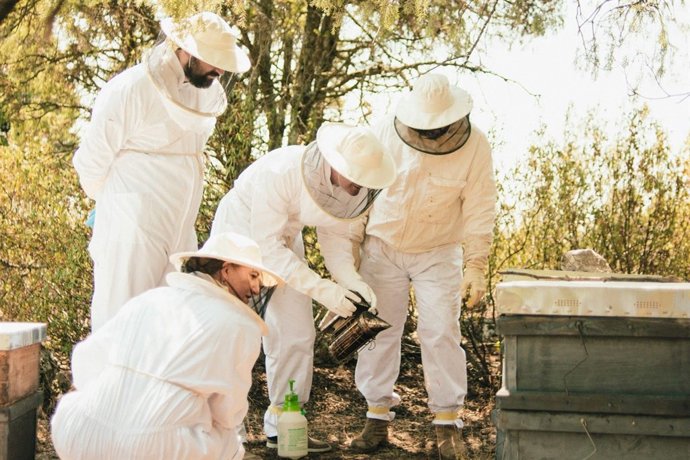 Airbnb amplía su propuesta de 'Experiencias' en toda España