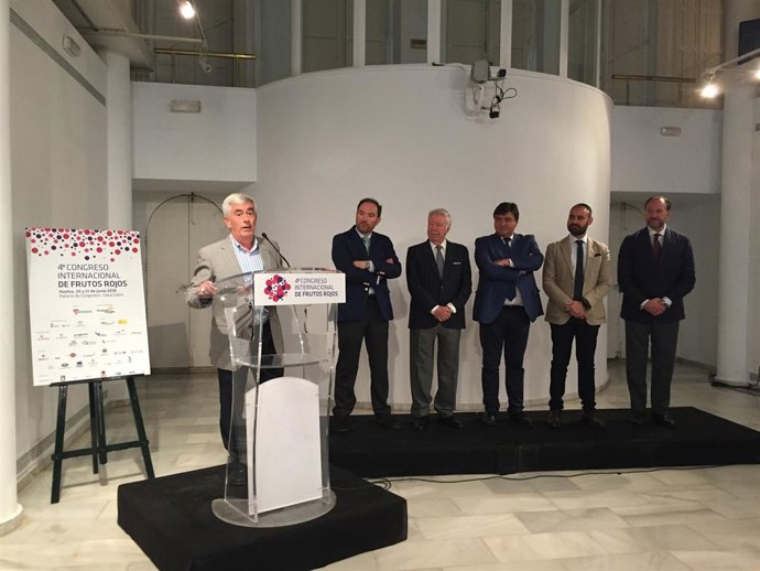 El presidente de Freshuelva, Alberto Garrocho.