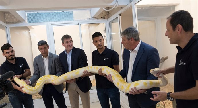 El Presidente D. Fernando Clavijo Batlle 2018. (Foto: Manuel Lérida/Presidencia 