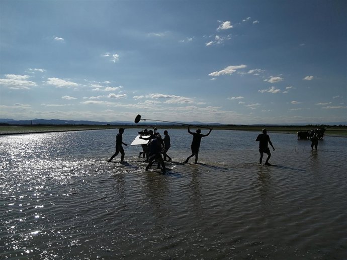 Rodaje de 'El Embarcadero' en l'Albufera