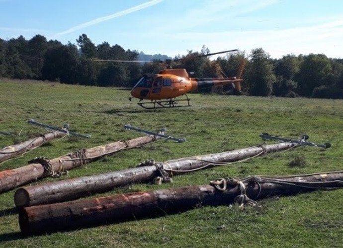 Renovación línea eléctrica del Parque Natural del Montseny (Vallès Oriental)