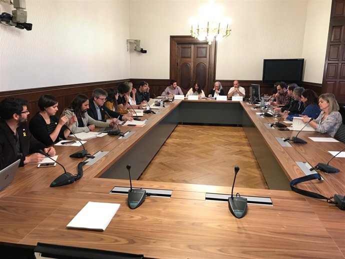 Comisión de Peticiones del Parlament (Archivo)