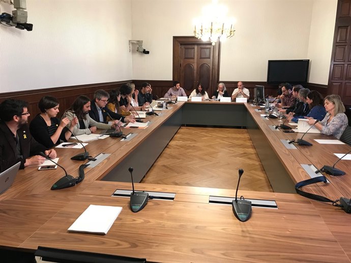 Comissió de Peticions del Parlament (Arxiu)
