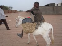 Uno de cada diez niños en el mundo es víctima de trabajo infantil