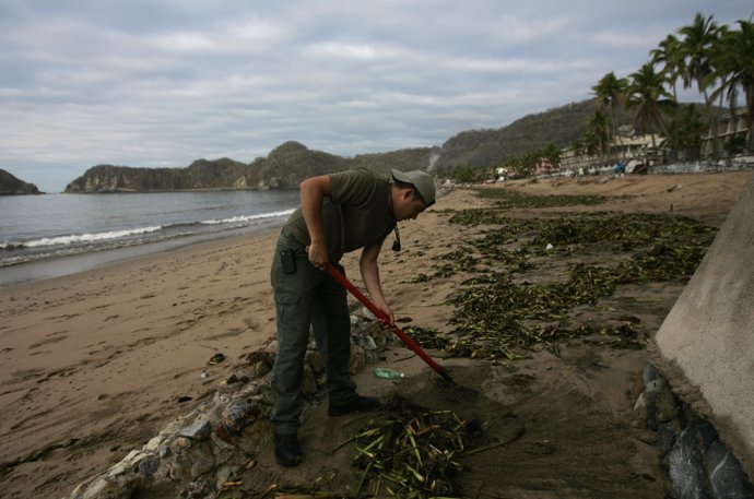 A municipal worker cleans a beach a day after tropical storm Bud hit the town of